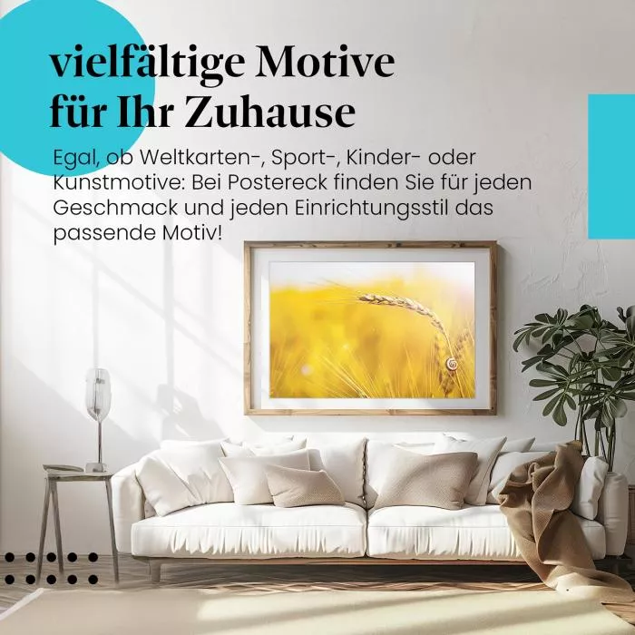 Goldene Stunde | Postereck 3931