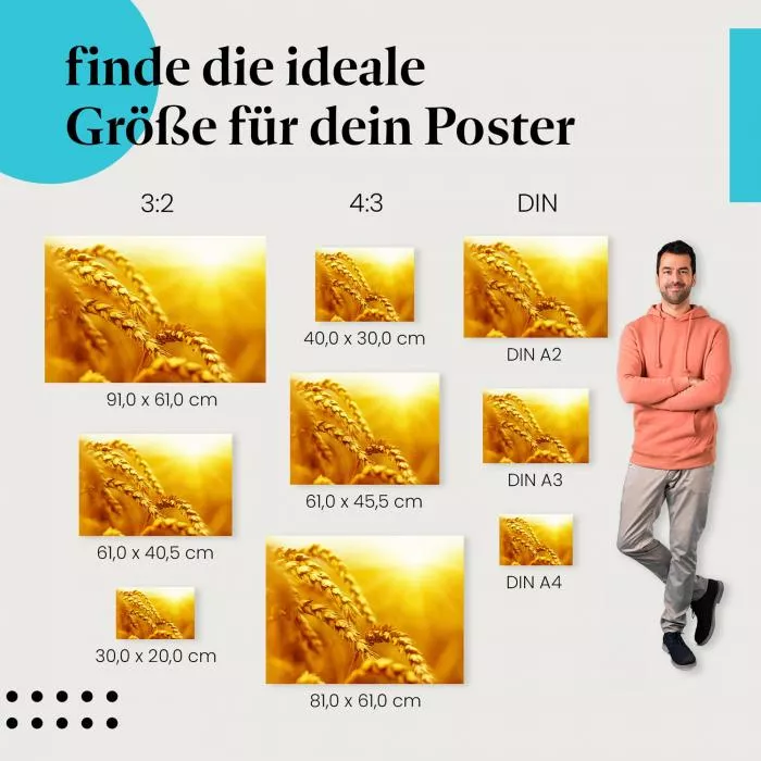 Goldene Weizenähren | Postereck 2093