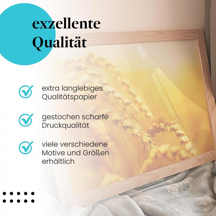 Preview: Goldene Weizenähren | Postereck 2093