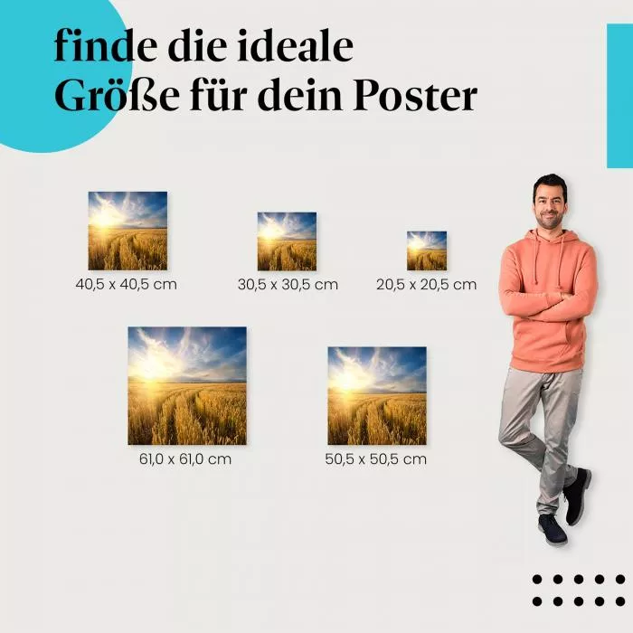 Weizenfeld | Postereck 3539