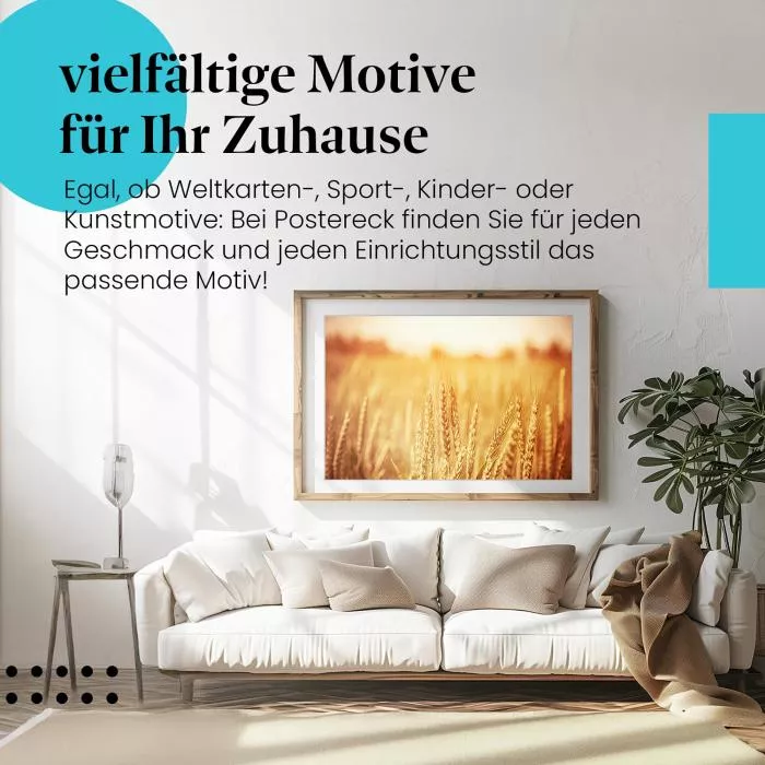 Goldenes Weizenfeld: Sonnenuntergang | Postereck 1437