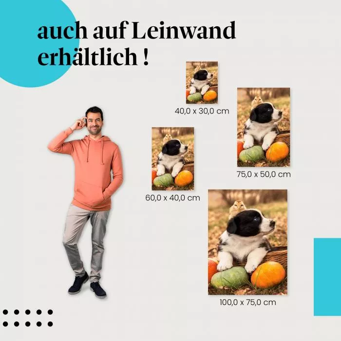Welpe im Kürbis | Postereck 3650