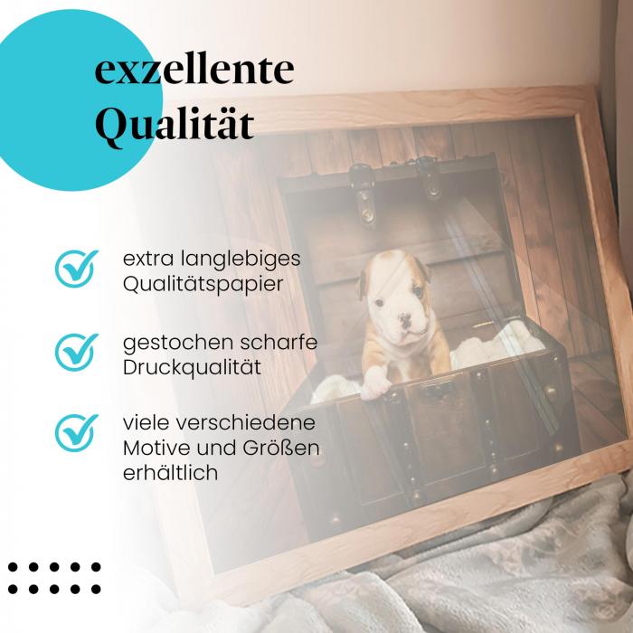 Preview: Welpe in Schatztruhe | Postereck 2361