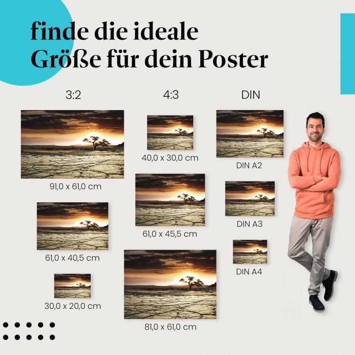 "Einsamer Baum": Wüstenposter mit dramatischer Szenerie & Sonnenuntergang
