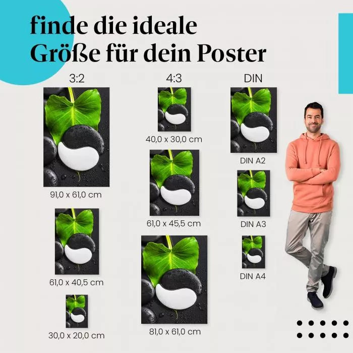 Yin Yang: Stein & Blatt | Postereck 1960