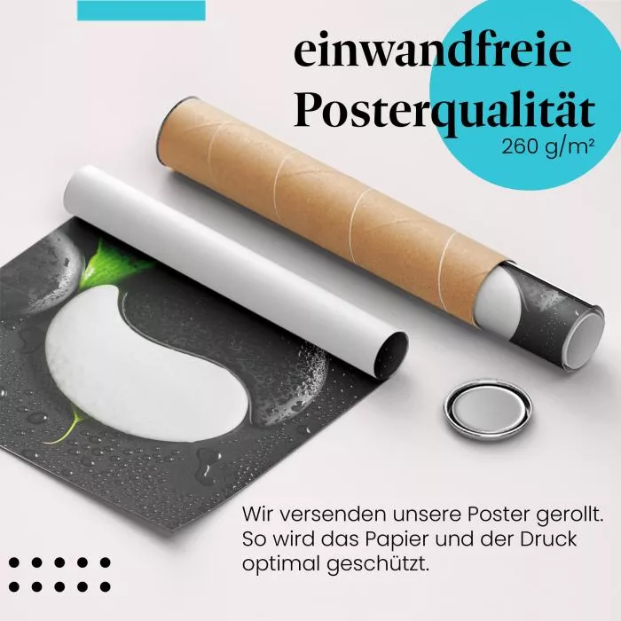 Yin Yang: Stein & Blatt | Postereck 1960