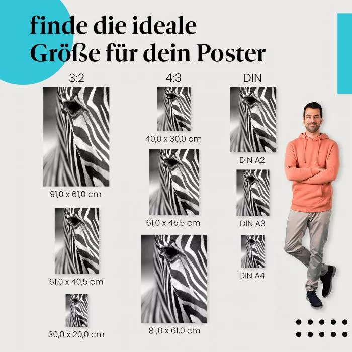 Zebraportrait: Schwarz-Weiß & Streifen | Postereck 0663