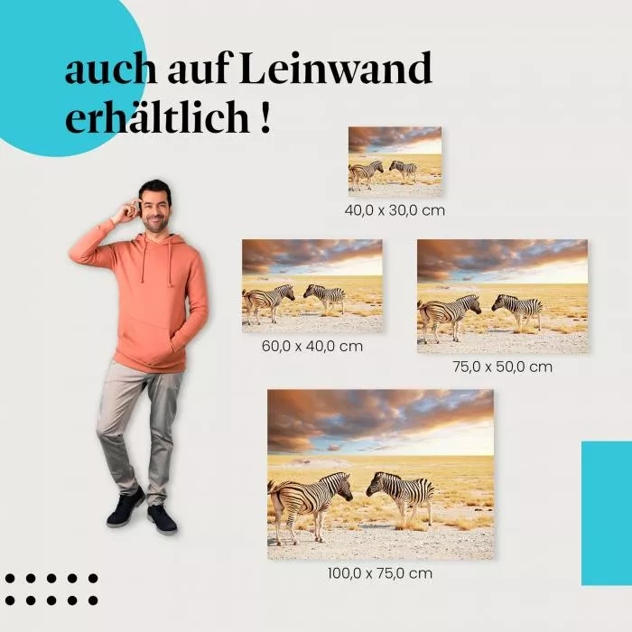 Zebras: Begegnung in der Savanne | Postereck 0627