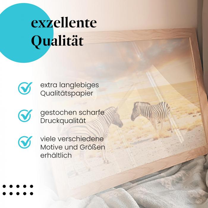 Gerahmtes Wandbild "Zebras, Savanne, Sonnenuntergang", langlebiges Papier, verschiedene Größen erhältlich.
