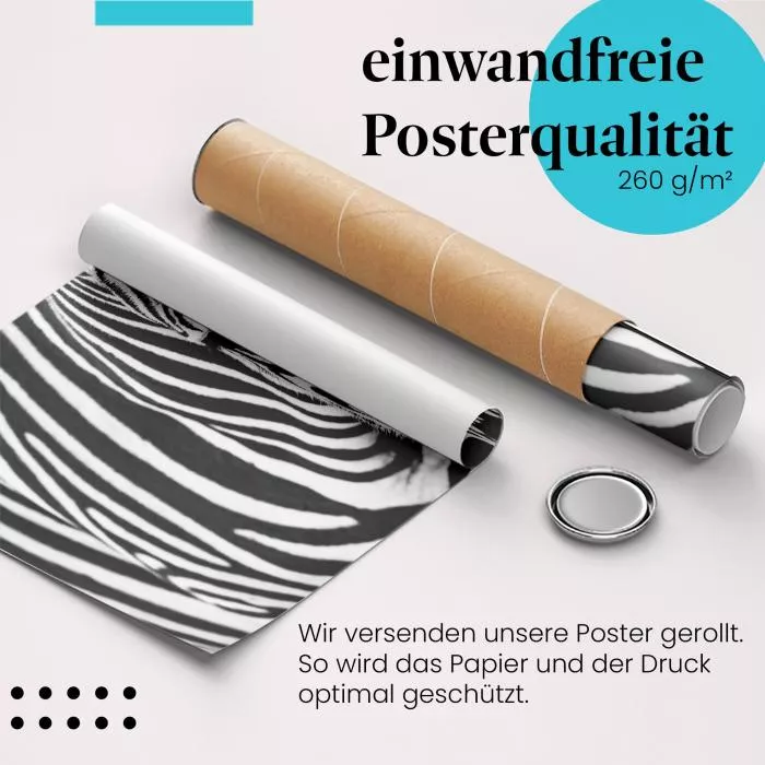 Zebraportrait | Postereck 3920