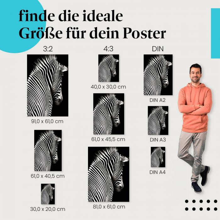 Zebrastreifen Poster: Muster der Natur - jetzt Größe wählen!