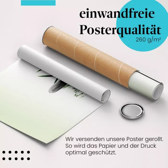 Zen-Steine und Bambus | Postereck 2643