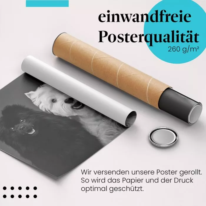 Zwergspitze | Postereck 4078