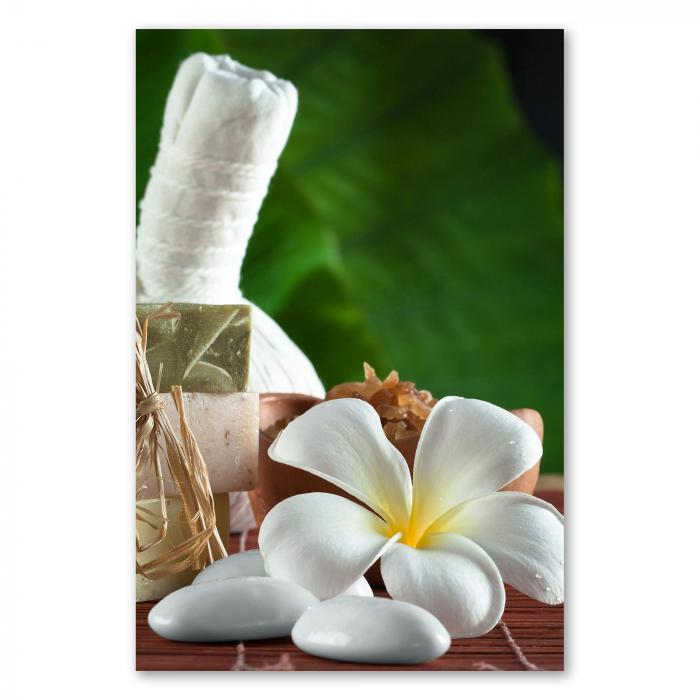 Preview: Tropisches Spa | Postereck 2986