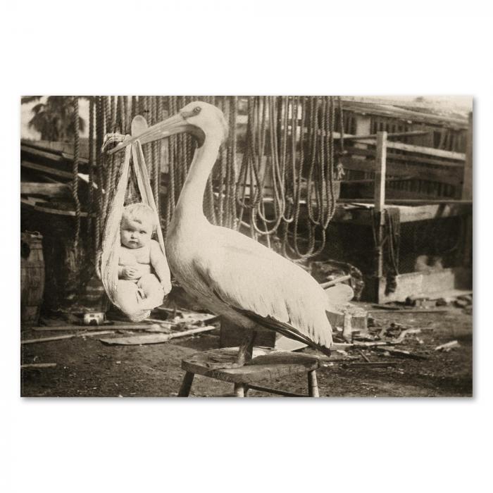 Preview: Vintage-Foto: Storch mit Baby | Postereck 0093