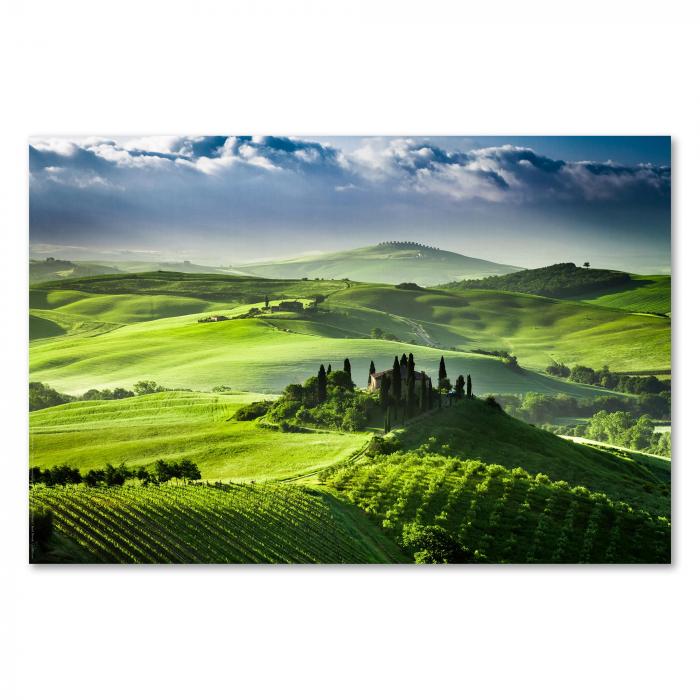 Preview: Toskana: Hügellandschaft & Zypressen | Postereck 0566