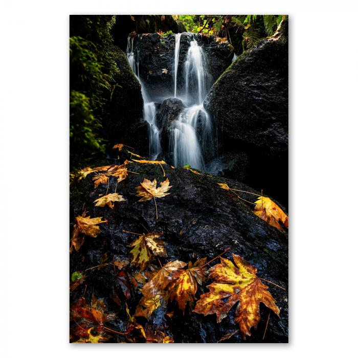 Preview: Herbstlicher Wasserfall | Postereck 3652
