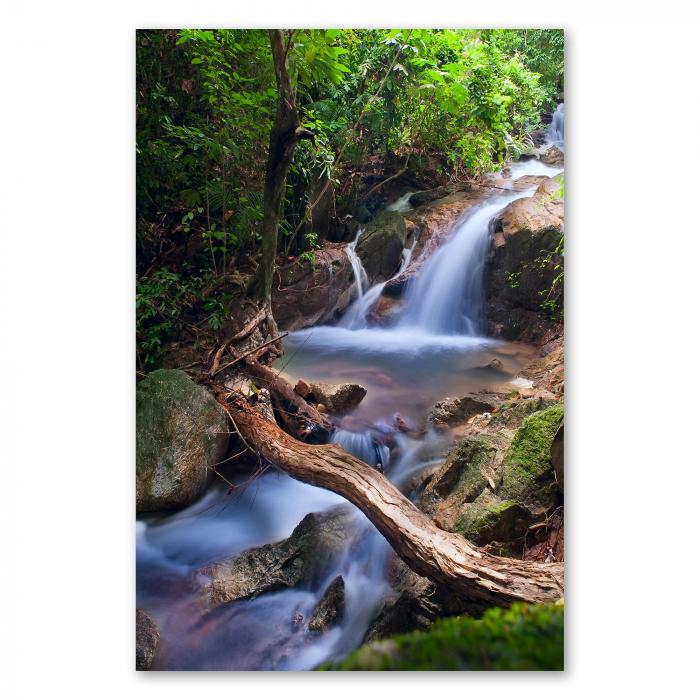Preview: Tropischer Wasserfall: Idylle & Vegetation | Postereck 0651
