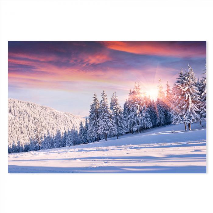 Preview: Wintermärchen: Verschneite Tannen | Postereck 1445