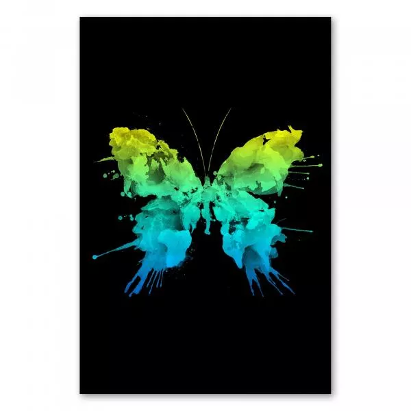 Schmetterling mit bunten Farbspritzern auf schwarzen Hintergrund, modernes und abstraktes Design. Schmetterling mit bunten Farbspritzern auf schwarzen Hintergrund, modernes und abstraktes Design.