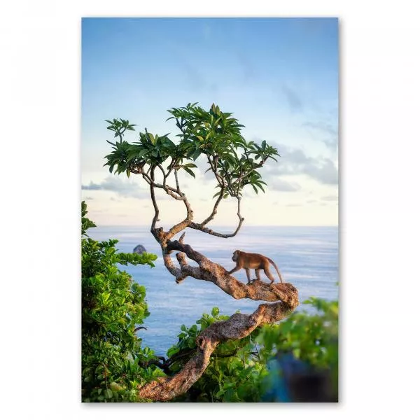 Ein Affe sitzt auf einem Baum an der Küste und blickt auf das weite Meer hinaus. Die Sonne taucht die Szene in ein warmes Licht und erzeugt eine friedliche Atmosphäre. Ein Affe sitzt auf einem Baum an der Küste und blickt auf das weite Meer hinaus. Die Sonne taucht die Szene in ein warmes Licht und erzeugt eine friedliche Atmosphäre.