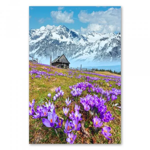 Eine wunderschöne Alpenlandschaft: Ein kleines Holzhaus steht auf einer üppigen Blumenwiese, im Hintergrund erheben sich schneebedeckte Berge - idyllisch. Eine wunderschöne Alpenlandschaft: Ein kleines Holzhaus steht auf einer üppigen Blumenwiese, im Hintergrund erheben sich schneebedeckte Berge - idyllisch.