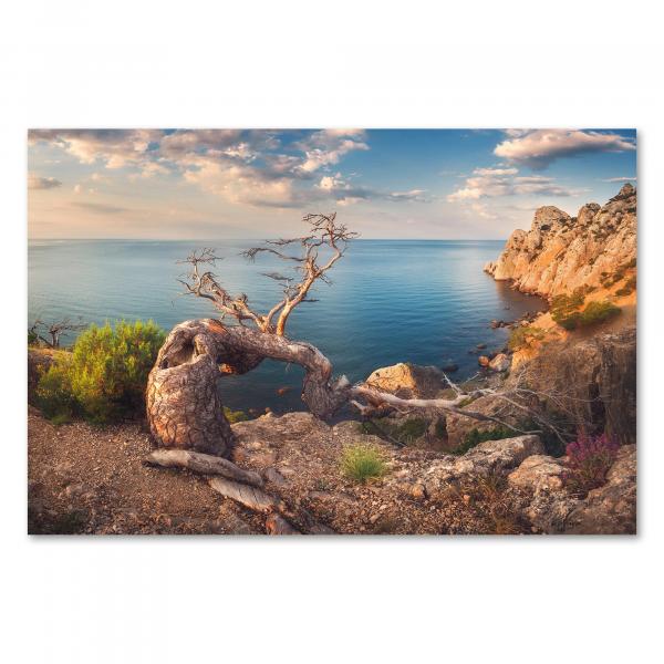 An den Felsen einer Steilküste klammert sich ein knorriger Baum fest. Im Hintergrund glitzert das blaue Meer. Ein beeindruckender Anblick.