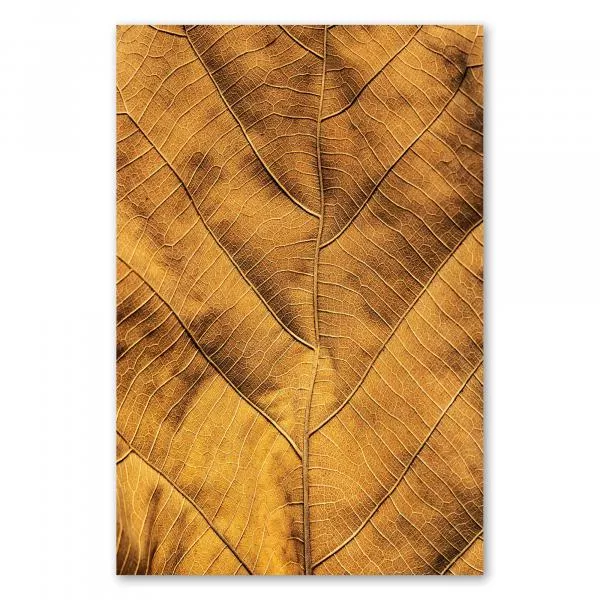 Nahaufnahme: Getrocknetes Blatt, Adern & goldbraune Oberfläche, Struktur. Nahaufnahme: Getrocknetes Blatt, Adern & goldbraune Oberfläche, Struktur.