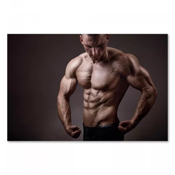 Muskulöser Bodybuilder, grauer Hintergrund, Adern & Muskeln, Kraft & Ausdauer. Muskulöser Bodybuilder, grauer Hintergrund, Adern & Muskeln, Kraft & Ausdauer.