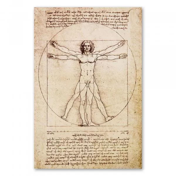 Leonardo da Vincis berühmte Zeichnung des vitruvianischen Menschen zeigt die Proportionen des menschlichen Körpers. Leonardo da Vincis berühmte Zeichnung des vitruvianischen Menschen zeigt die Proportionen des menschlichen Körpers.