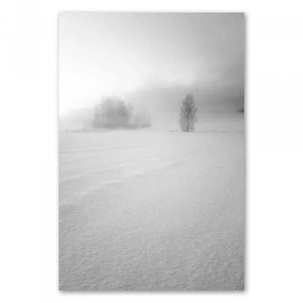Einsamer Baum steht im schneebedeckten Feld, eingehüllt in Nebel, Ruhe und winterliche Schönheit. Einsamer Baum steht im schneebedeckten Feld, eingehüllt in Nebel, Ruhe und winterliche Schönheit.