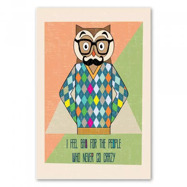 Lustige Eule mit Brille und Pullover ziert Poster: „I feel bad for the people who never go crazy.“ Lustige Eule mit Brille und Pullover ziert Poster: „I feel bad for the people who never go crazy.“