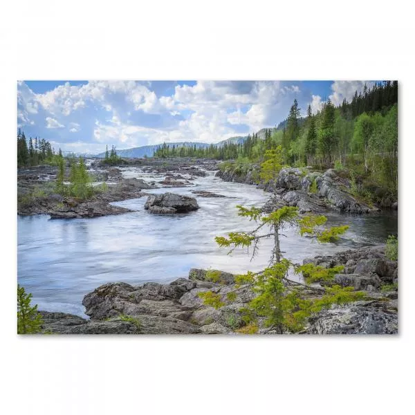 Fluss schlängelt sich durch felsige Landschaft mit grünen Bäumen, kleine Tanne steht auf einem Felsen. Fluss schlängelt sich durch felsige Landschaft mit grünen Bäumen, kleine Tanne steht auf einem Felsen.