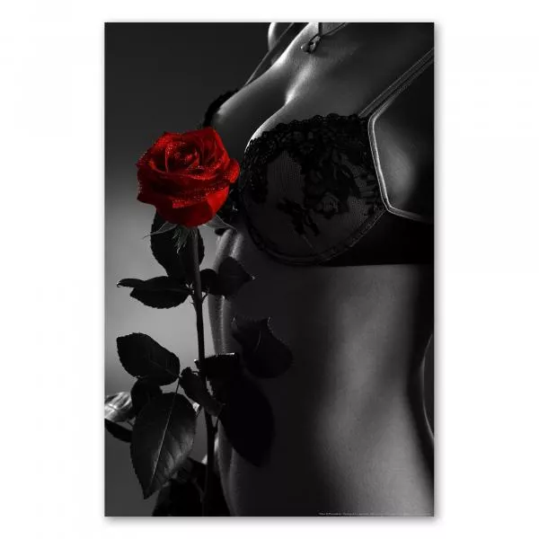 Schwarz-Weiß Foto einer Frau mit schwarzem BH, an dem eine einzelne rote Rose mit Tautropfen liegt. Schwarz-Weiß Foto einer Frau mit schwarzem BH, an dem eine einzelne rote Rose mit Tautropfen liegt.