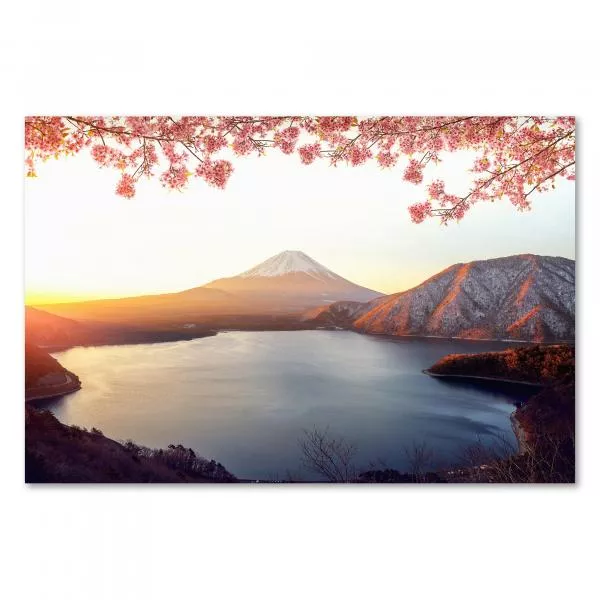 Berg Fuji spiegelt sich im See, Sonnenaufgang, Kirschblüten. Berg Fuji spiegelt sich im See, Sonnenaufgang, Kirschblüten.