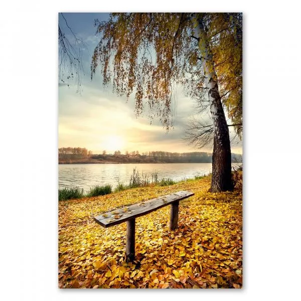 Einsame Holzbank unter Baum am Seeufer, goldene Blätter spiegeln sich im Wasser. Einsame Holzbank unter Baum am Seeufer, goldene Blätter spiegeln sich im Wasser.