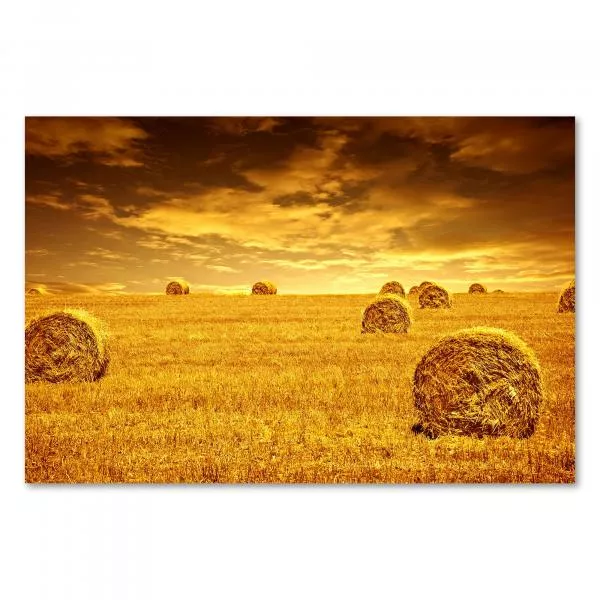 Goldene Stunde auf dem Feld: Die untergehende Sonne taucht die Landschaft mit Heuballen in warme Farben. Goldene Stunde auf dem Feld: Die untergehende Sonne taucht die Landschaft mit Heuballen in warme Farben.