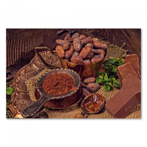 Frische Kakaobohnen, Kakaopulver, Schokolade - Genuss & Faszination des Kakaos. Frische Kakaobohnen, Kakaopulver, Schokolade - Genuss & Faszination des Kakaos.