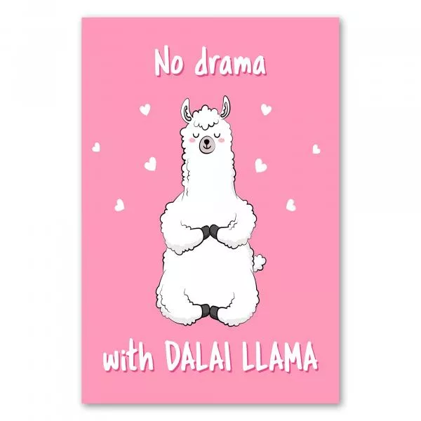 Lama meditiert auf rosa Hintergrund mit Herzen & Spruch "No Drama with Dalai Lama". Lama meditiert auf rosa Hintergrund mit Herzen & Spruch "No Drama with Dalai Lama".