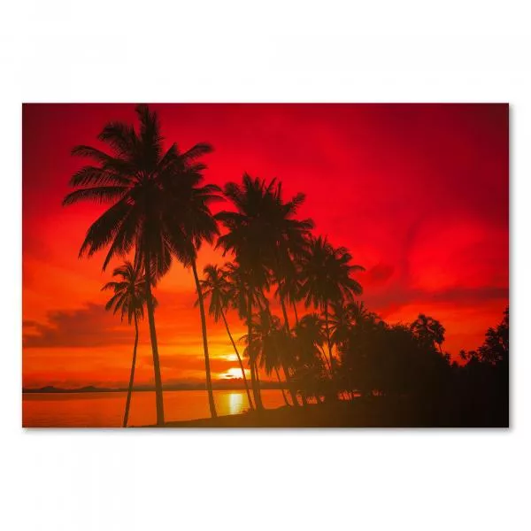 Silhouette von Palmen, Strand, glühend roter Himmel bei Sonnenuntergang. Silhouette von Palmen, Strand, glühend roter Himmel bei Sonnenuntergang.