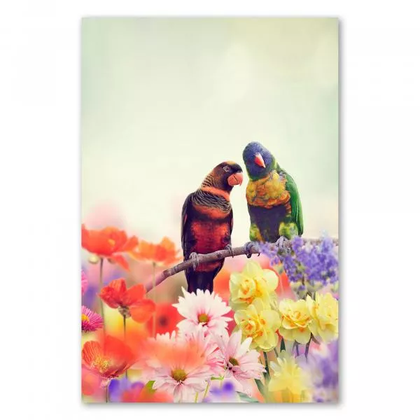 Zwei Papageien kuscheln inmitten eines Blütenmeers – ein Bild voller Liebe und Frühlingsgefühle. Zwei Papageien kuscheln inmitten eines Blütenmeers – ein Bild voller Liebe und Frühlingsgefühle.
