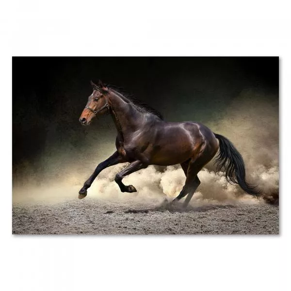 Braunes Pferd mit Mähne, galoppiert durch staubigen Sand - Anmut & Energie. Braunes Pferd mit Mähne, galoppiert durch staubigen Sand - Anmut & Energie.
