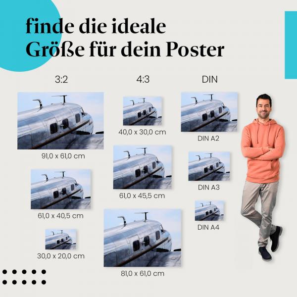 Flugzeugrumpf Poster: Flugzeug Poster!