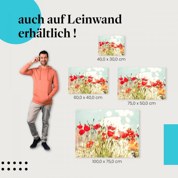 Mohnblumen: Leinwandbild. Rot, See, Sonne.