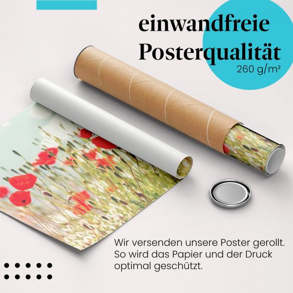 Gerolltes Poster "Mohnblumen am See". Blumenpracht & Natur, sicher verpackt.
