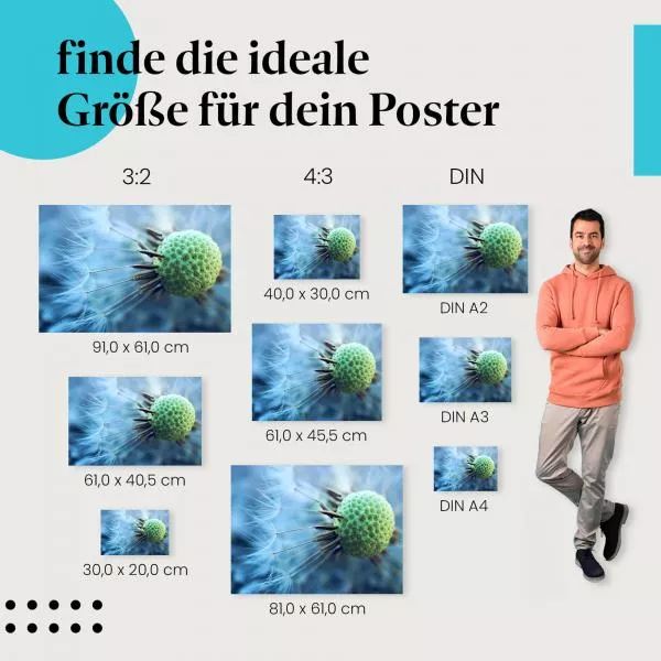Pusteblume Makro | Postereck 3352 Pusteblume Makro | Postereck 3352