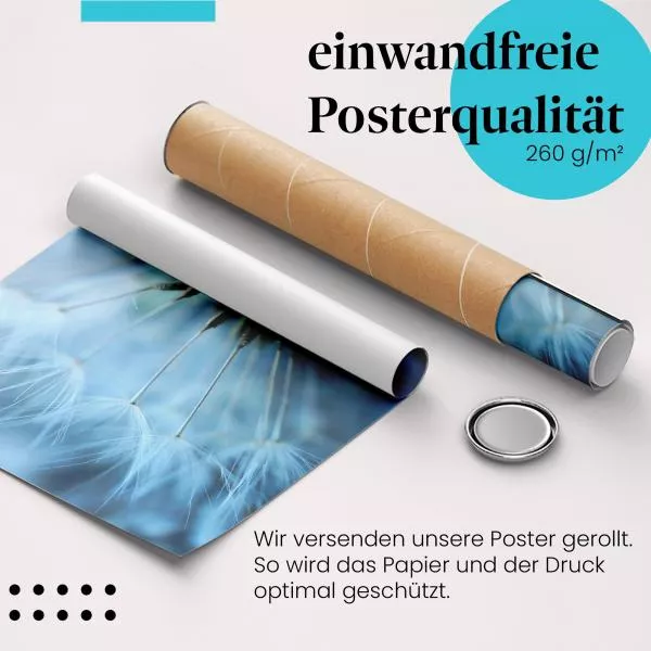 Pusteblume Makro | Postereck 3352 Pusteblume Makro | Postereck 3352