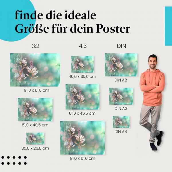 Blume, Poster: Weiß, Nahaufnahme, unscharf, grün, blau.