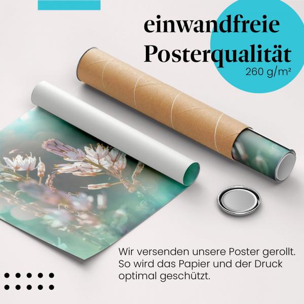 Gerolltes Poster "Weiße Blüte". Blumen & Details, sicher verpackt.
