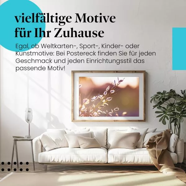 Samenkapseln im Abendlicht | Postereck 3364 Samenkapseln im Abendlicht | Postereck 3364